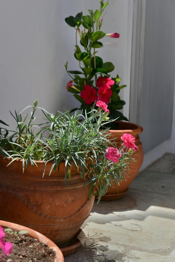 Feel At Home - Family House In Hydra Exteriér fotografie